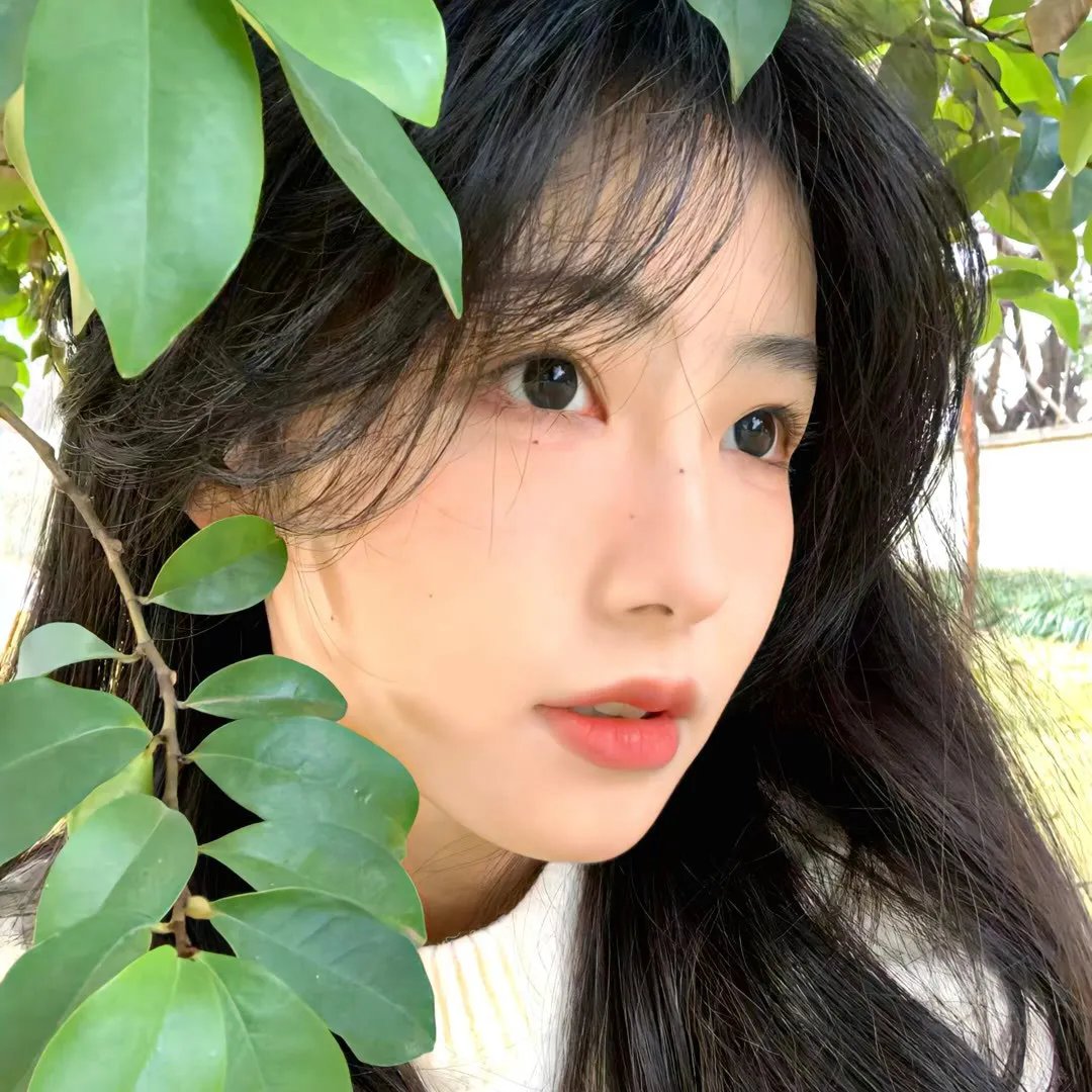 叔比狗露营惊魂记